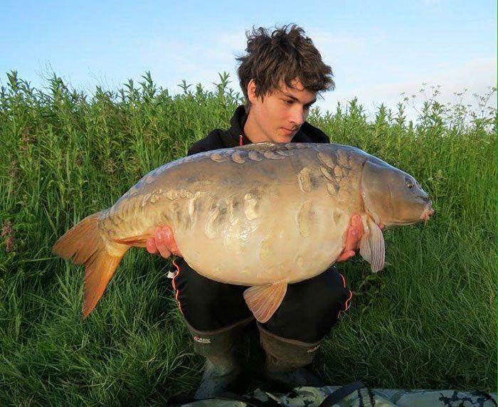 Deze fraaie spiegel kwam maar liefst drie keer op de mat in 2015.