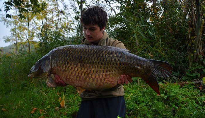 Ook deze Belgische karakterschub viel ten prooi aan de vangdrang van Tom.