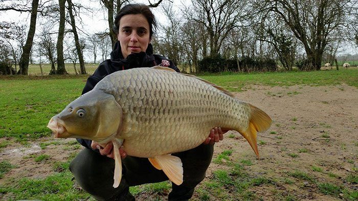 the-carp-specialist-villedon-1