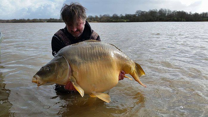 the-carp-specialist-villedon-4