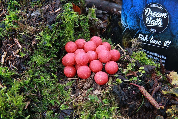 Dream-Baits-Sweet-Seduction-2