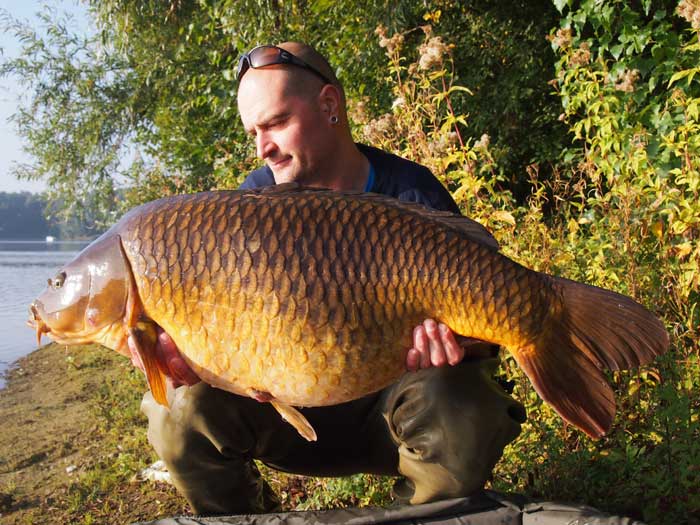 Solar-Buzzz-Ignace-de-Roeck1