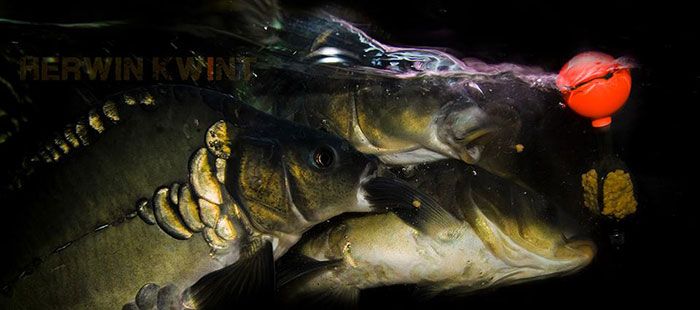 herwin-kwint-interview-5