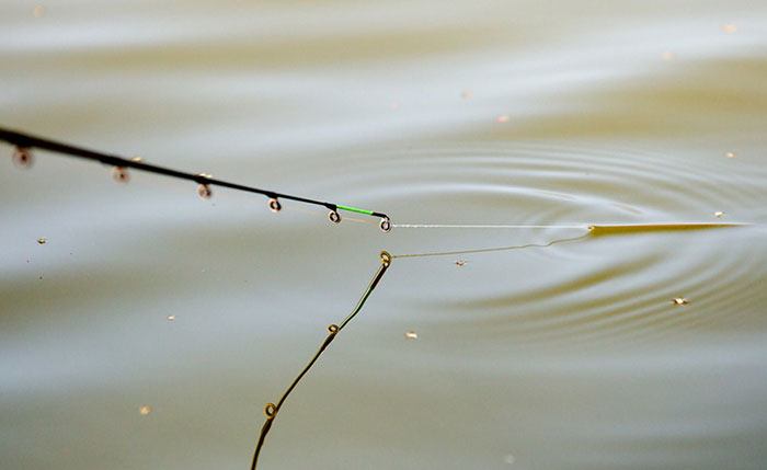 herwin-kwint-lijn-feeder