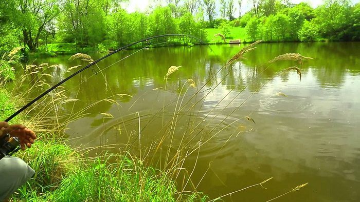 Foto: Prologic. Klein water, gemiddelde vis.