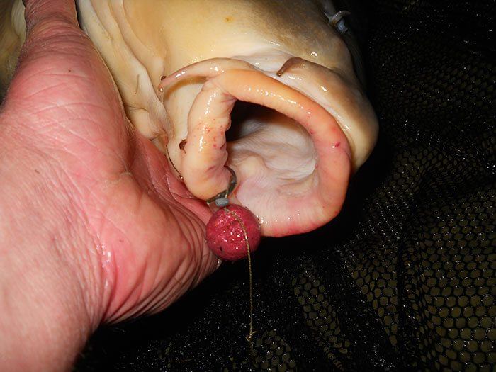baitword-marc-vervoort-2