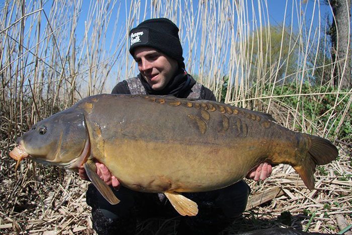 Dream-Baits-Belgie-karper-boilie-1