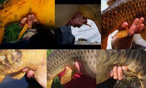 mark-hoedemakers-wokkelvin-blog-3