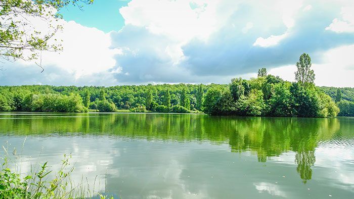 Een ware hotspot: het eiland van Lac de Grosley.