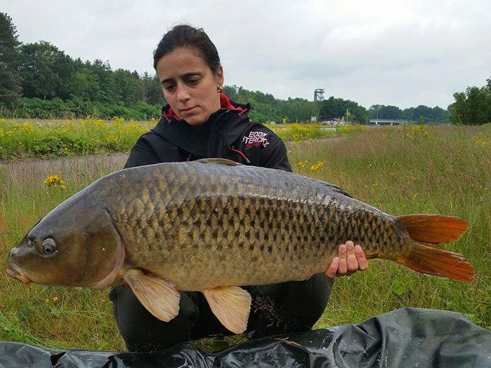 jenny-sterckx-karper-belgie-2