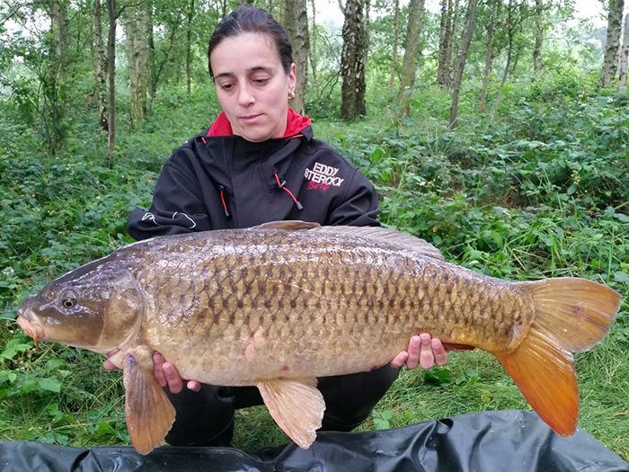 jenny-sterckx-karper-belgie-3