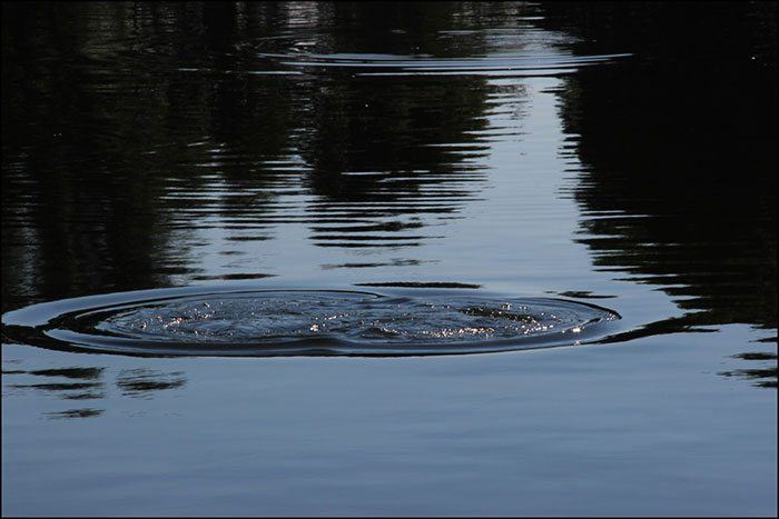 Aan tafel, ?dinner is served!?
