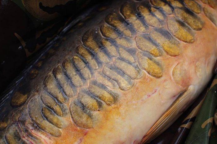 Damn, wat een heerlijke spiegel. Laat die video maar komen!