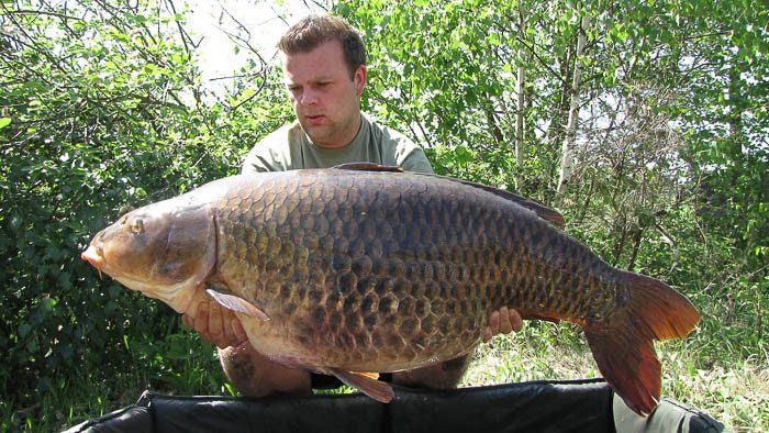 De kanalen zijn dunbezet maar de prijzen zijn groot!