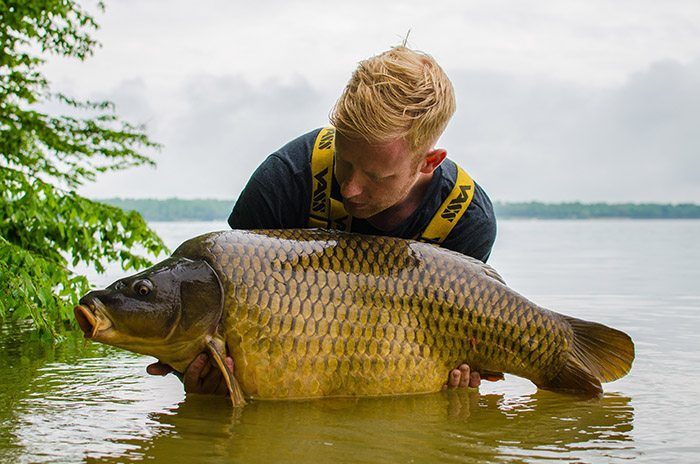 Blow back rig mark hofman