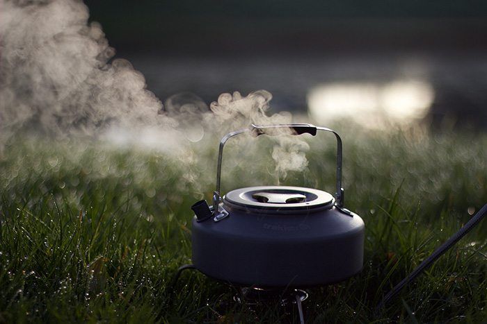 Aasgedrag in de winter.