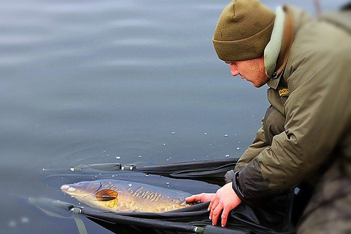 martijn-verweij-terugzetten-karper-winter-release-1