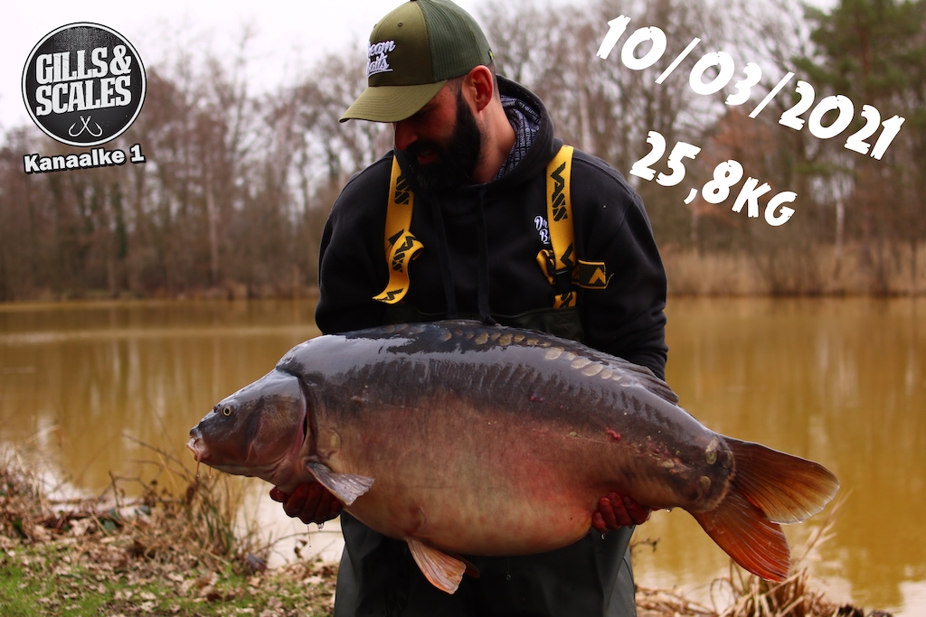 Uitzetting karper Gills & Scales - KWO Product Buzzz