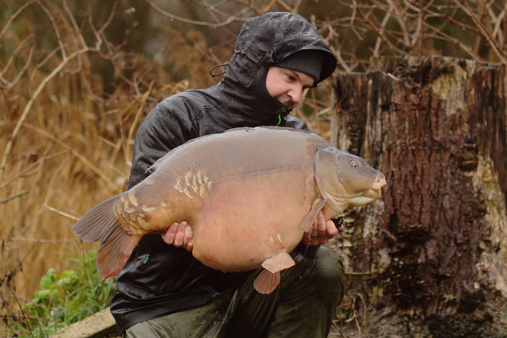 David wouters wintervangst