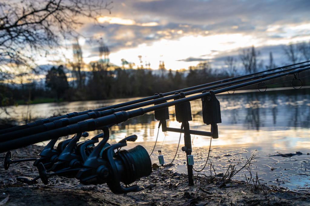 Aasgedrag in de winter.