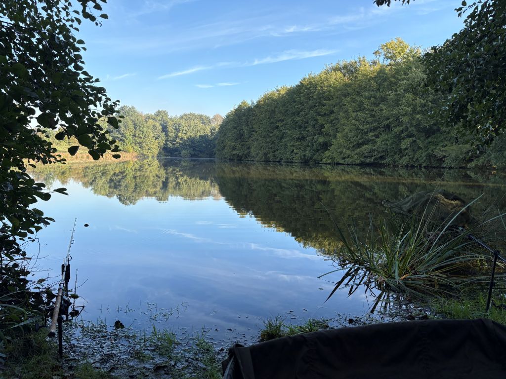 The Carp Specialist - Etang de Chigy