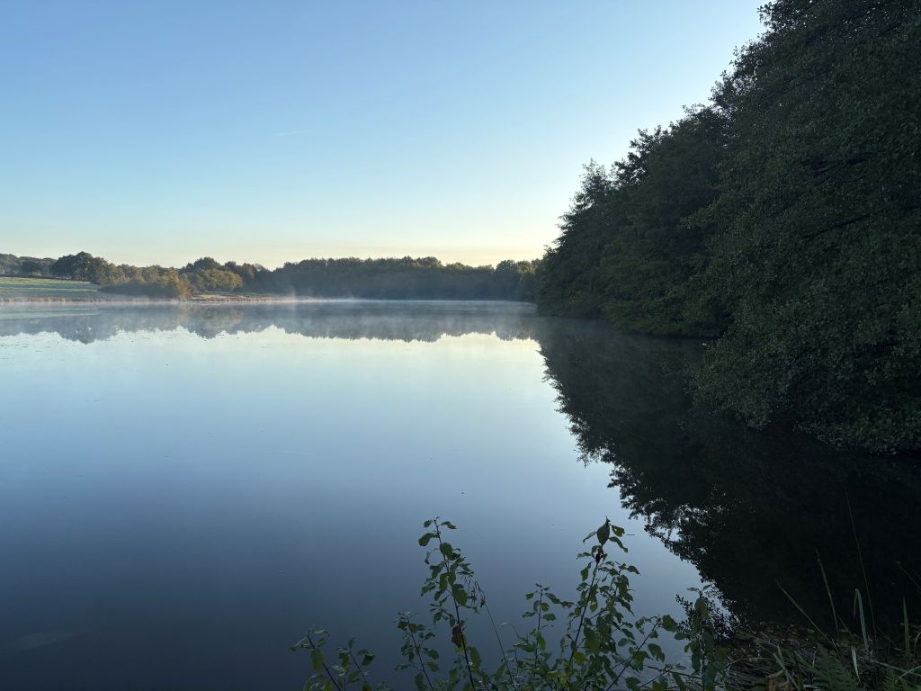 The Carp Specialist - Etang de Chigy