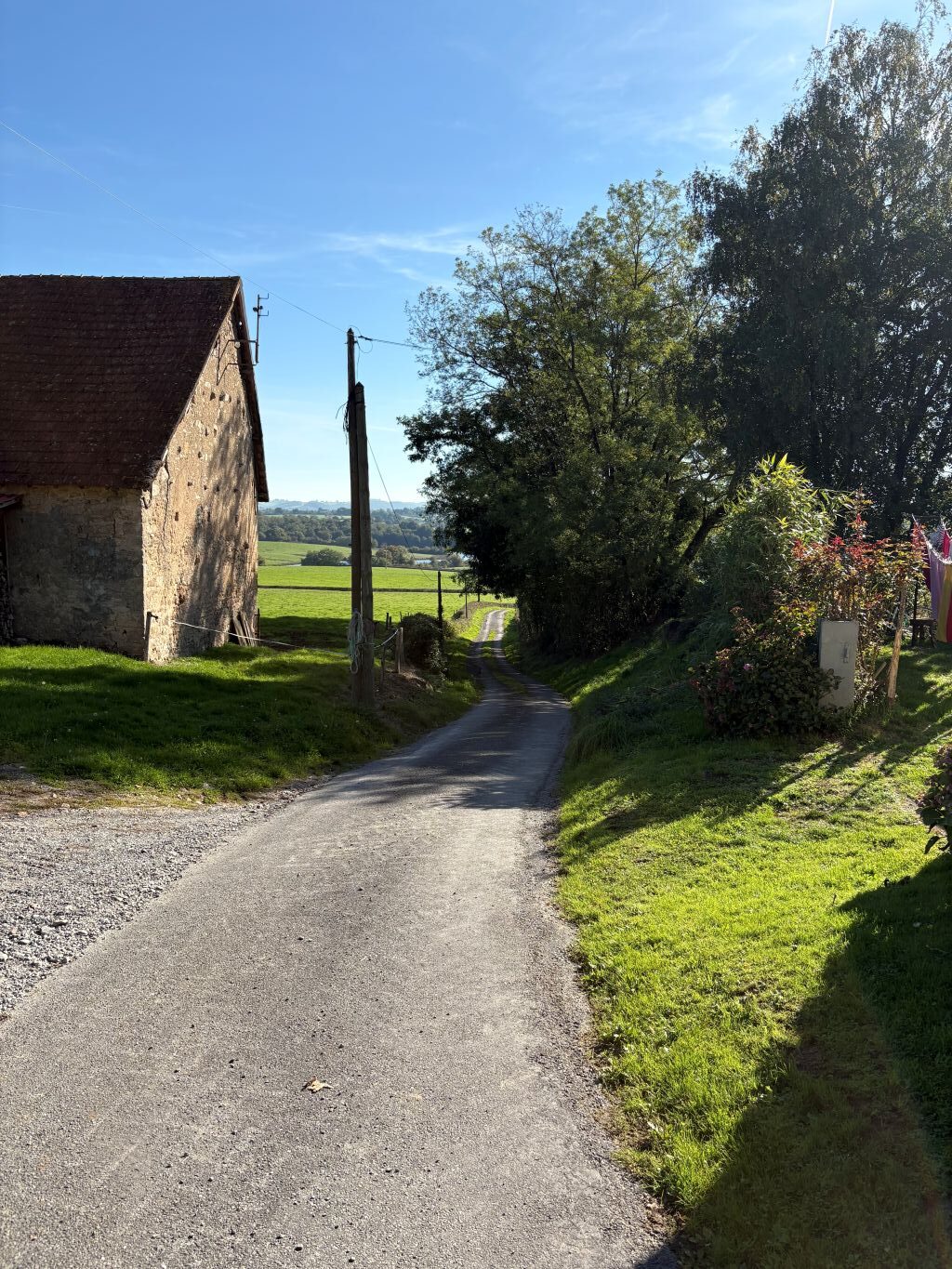 The Carp Specialist - Etang de Chigy