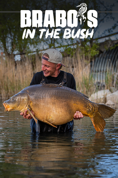 https://cdn03.kwo.nl/2026/08/Brabos-in-the-Bush-video-cover-1.jpg