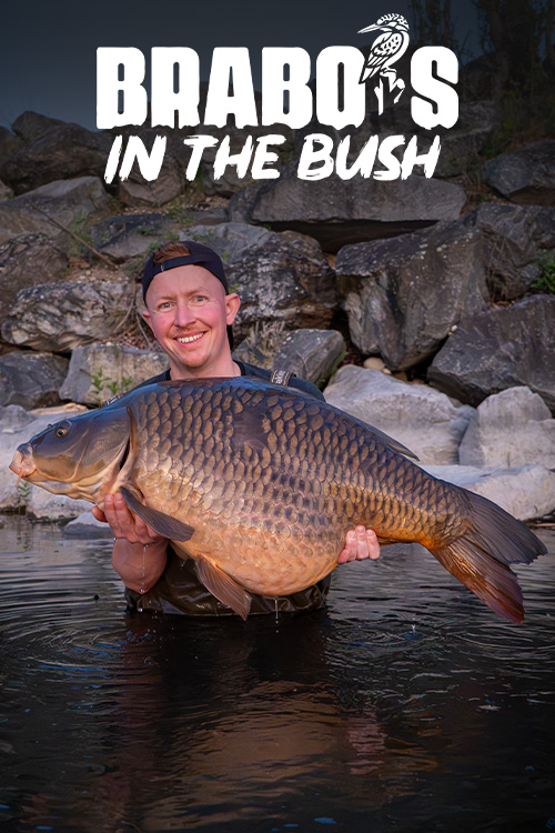 https://cdn03.kwo.nl/2026/08/Brabos-in-the-Bush-video-cover-2.jpg